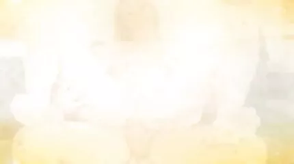 វ៉កឃើរបានទាញឡើងគឺ Bella គឺ Bella