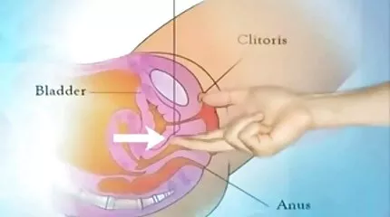 បុរសម្នាក់ fucking អាងតុក្កតា។
